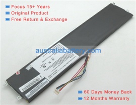 Y13a 7.4V 2-cell Australia haier notebook computer original batteries