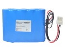 Carina niv 12V 10-cell Australia draeger replacement medical equipment batteries